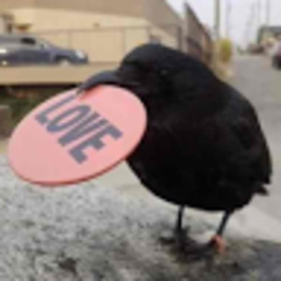 Poshmark profile picture for @octet